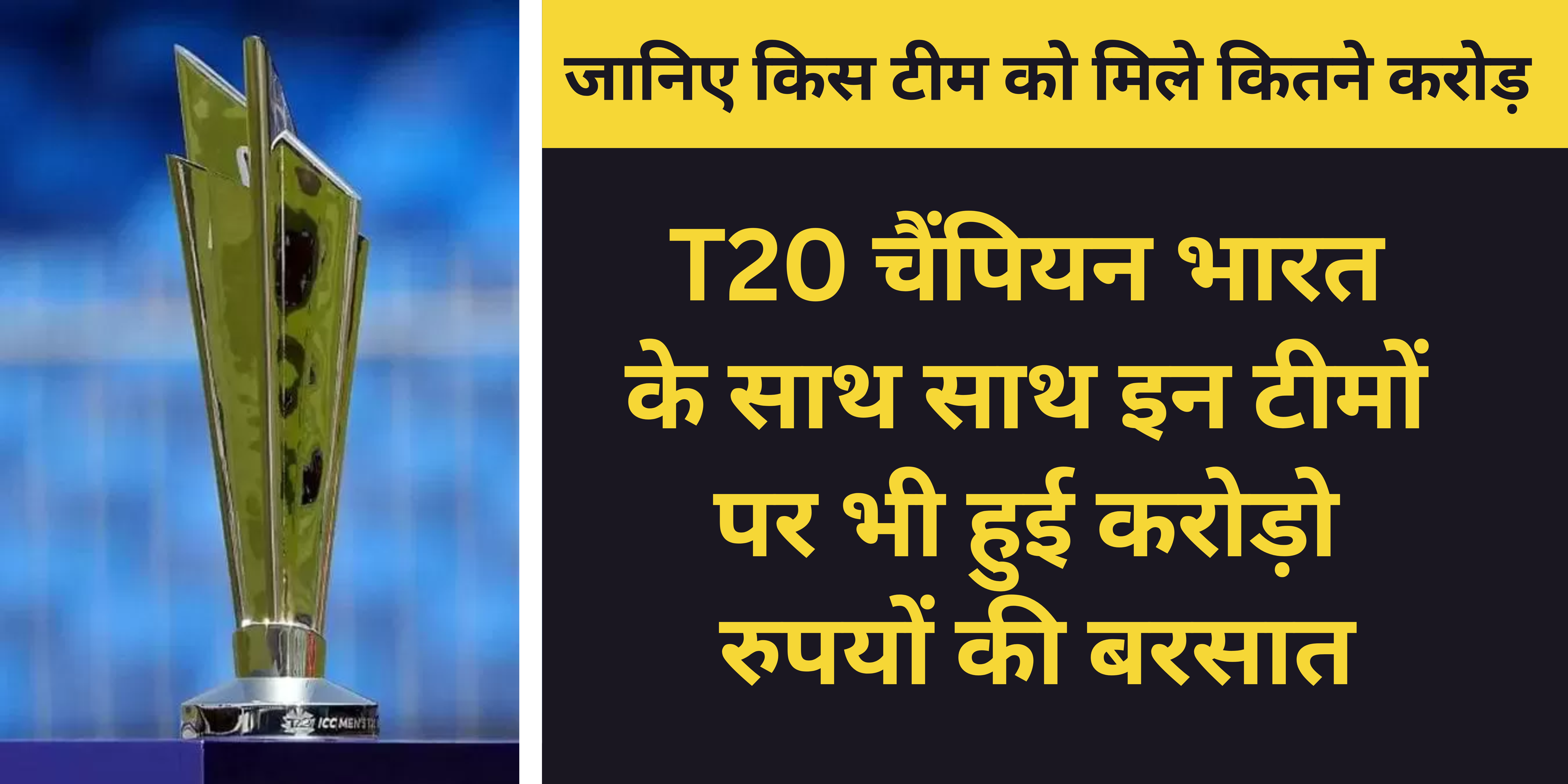 T20 World Cup 2024 Prize Money :- T20 चैंपियन भारत के साथ साथ इन टीमों पर भी हुई करोड़ो रुपयों की बरसात !