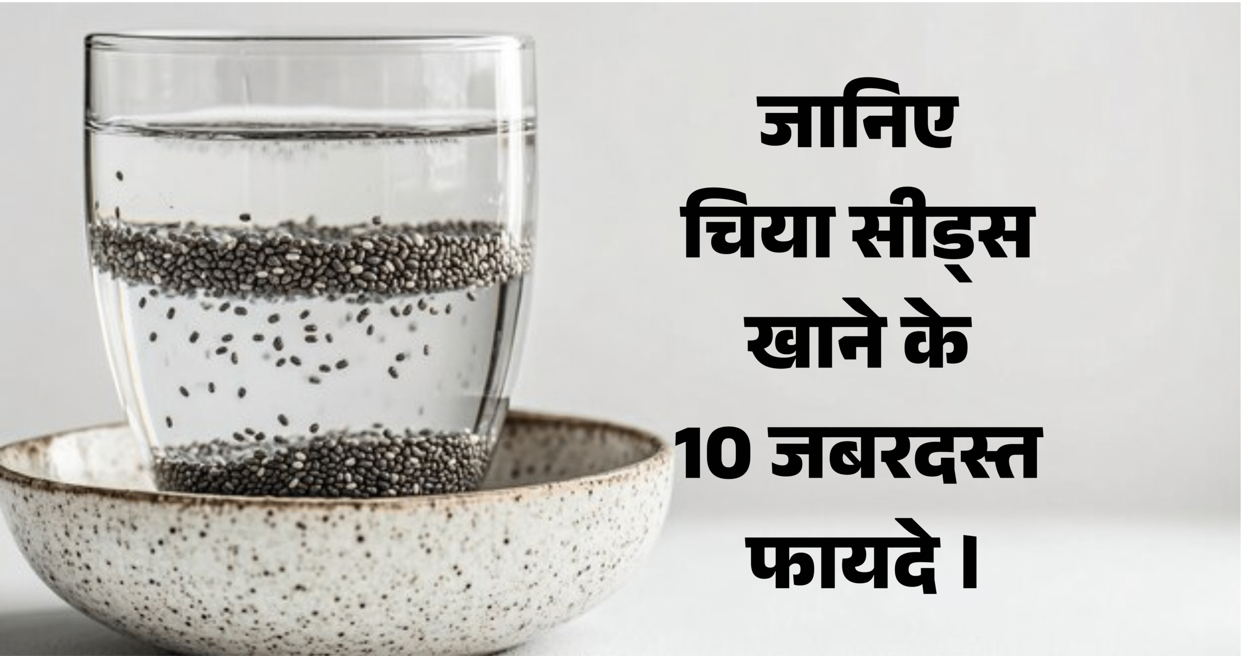 Chia Seeds Ke Fayde :- जानिए चिया सीड्स खाने के 10 जबरदस्त फायदे ।