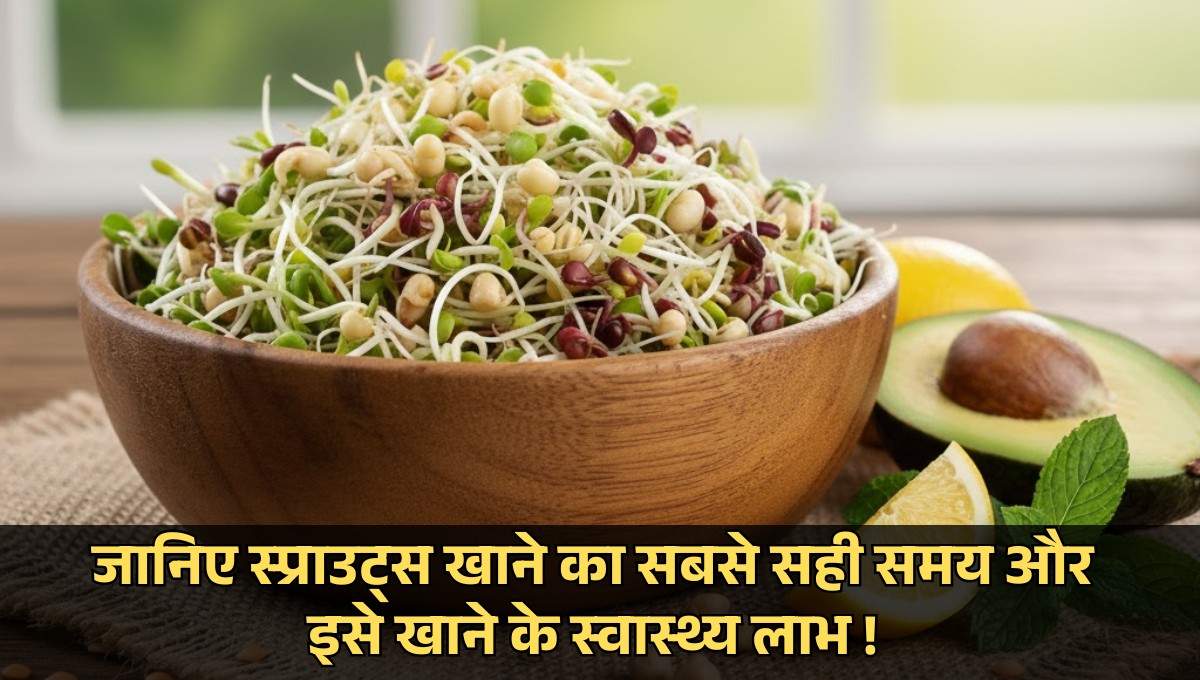 Best Time To Eat Sprouts :- जानिए स्प्राउट्स खाने का सबसे सही समय और इसे खाने के स्वास्थ्य लाभ !