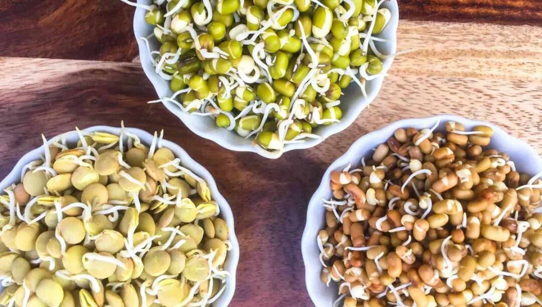 10 Health Benefits of Eating Sprouts :- जानिए Sprouts खाने के 10 जबरदस्त फायदे ।
