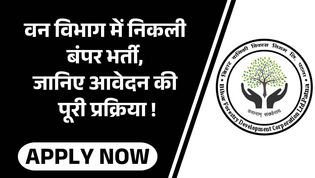 Bihar Forest Recruitment 2025 :- वन विभाग में निकली बंपर भर्ती, जानिए आवेदन की पूरी प्रक्रिया !